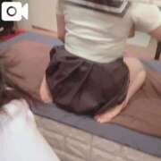 ヒメ日記 2026/03/29 20:50 投稿 なえ 石庭
