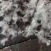 あず 本日も?? チューリップ仙台店