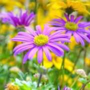 ヒメ日記 2025/12/16 09:01 投稿 あず チューリップ仙台店