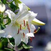 ヒメ日記 2025/12/22 13:01 投稿 あず ジュエルズ