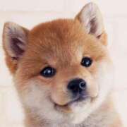 ヒメ日記 2026/01/25 07:46 投稿 あず ジュエルズ