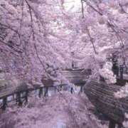 ヒメ日記 2026/02/10 15:46 投稿 あず ジュエルズ