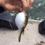 ヒメ日記 2026/02/14 15:31 投稿 あず ジュエルズ