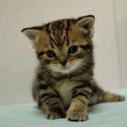 ヒメ日記 2026/02/23 01:46 投稿 あず ジュエルズ