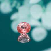 ヒメ日記 2026/02/23 10:16 投稿 あず ジュエルズ