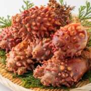 ヒメ日記 2026/02/28 07:16 投稿 あず ジュエルズ