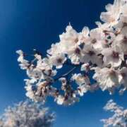 ヒメ日記 2026/03/01 00:46 投稿 あず ジュエルズ