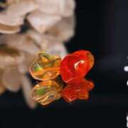 ヒメ日記 2026/03/01 07:46 投稿 あず ジュエルズ