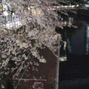 ヒメ日記 2026/04/09 00:10 投稿 ももか 奥様特急　池袋・大塚店