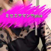 川端　るる よくMっぽいと言われますが ミセスサマンサPLUS