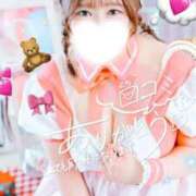 ヒメ日記 2026/02/06 16:42 投稿 はるひ 白いぽっちゃりさん