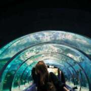 ヒメ日記 2025/12/15 05:06 投稿 新田【にった】 ★無料オプション多数★成田若妻即即サークル【日本人専門店】