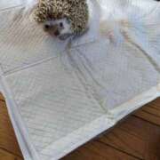 ヒメ日記 2025/12/16 08:33 投稿 新田【にった】 ★無料オプション多数★成田若妻即即サークル【日本人専門店】