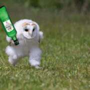 ヒメ日記 2025/12/17 09:33 投稿 新田【にった】 ★無料オプション多数★成田若妻即即サークル【日本人専門店】