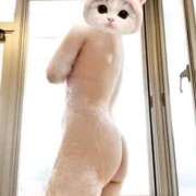 ヒメ日記 2026/01/06 19:04 投稿 ねお 沖縄ちゃんこ那覇店