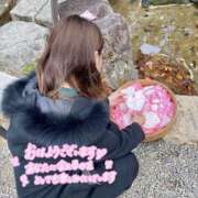 ヒメ日記 2026/01/20 07:30 投稿 あん 人妻本舗愛のしずく名古屋店