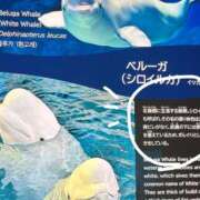 ヒメ日記 2026/02/27 14:15 投稿 あん 人妻本舗愛のしずく名古屋店