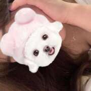 ヒメ日記 2026/01/03 19:09 投稿 きら 五反田サンキュー