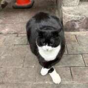 ヒメ日記 2026/03/24 12:01 投稿 あかり ジュエルズ