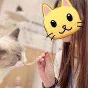 ヒメ日記 2026/01/15 19:46 投稿 れん ジュエルズ