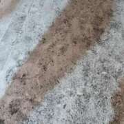 ヒメ日記 2026/01/26 17:16 投稿 ありす ジュエルズ