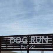 ヒメ日記 2026/02/10 17:16 投稿 めいか ジュエルズ