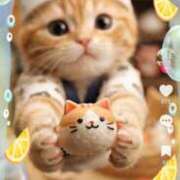 めいか 明日も?? ジュエルズ