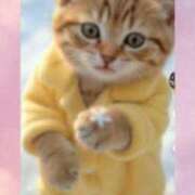 ヒメ日記 2026/02/26 18:46 投稿 めいか ジュエルズ