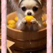 ヒメ日記 2026/02/28 20:31 投稿 めいか ジュエルズ