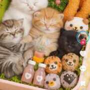 ヒメ日記 2026/03/10 21:16 投稿 めいか ジュエルズ