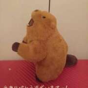 ヒメ日記 2026/09/16 13:16 投稿 つきか ジュエルズ