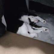 ヒメ日記 2026/01/30 13:16 投稿 すず ジュエルズ