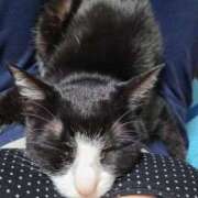 ヒメ日記 2026/02/24 15:01 投稿 すず ジュエルズ