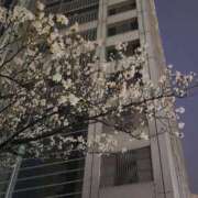 ヒメ日記 2026/03/22 19:31 投稿 すず ジュエルズ