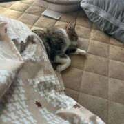 ヒメ日記 2026/02/13 18:16 投稿 いずみ ジュエルズ