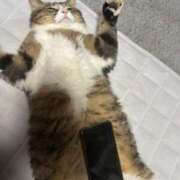 ヒメ日記 2026/02/22 20:01 投稿 いずみ ジュエルズ