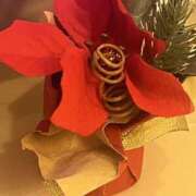 ヒメ日記 2025/12/19 14:30 投稿 ちえ モアグループ宇都宮人妻花壇