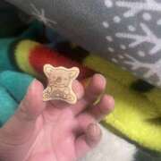 ヒメ日記 2026/01/03 13:49 投稿 ちえ モアグループ宇都宮人妻花壇