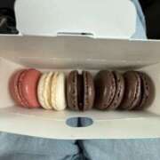 にこり 新人＠にこり（スピード難波店） スピード難波店