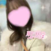 ヒメ日記 2025/12/15 16:17 投稿 きら 横浜シンデレラ（シンデレラグループ）