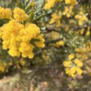 ヒメ日記 2026/04/12 15:22 投稿 かなえ【FG系列】 マダムFG柏本店