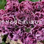 レイナ 本日もありがとうございました♡ 煌-kirameki-