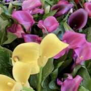 ヒメ日記 2025/12/17 20:41 投稿 レイナ 煌-kirameki-