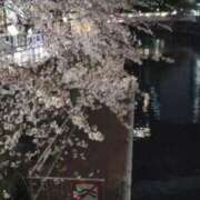 ヒメ日記 2026/04/09 00:12 投稿 ももか 奥様特急　上野・鶯谷店