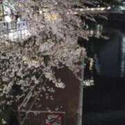 ヒメ日記 2026/04/09 00:04 投稿 ももか 奥様特急　立川店