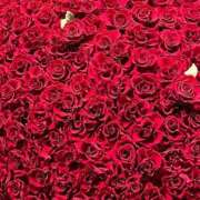 ヒメ日記 2025/12/17 19:58 投稿 峯石 有希子 Club 麗花