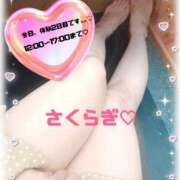 ヒメ日記 2025/12/15 12:18 投稿 桜木(さくらぎ) 相模原人妻城