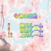 ヒメ日記 2026/04/06 16:43 投稿 かおり ミセスロマン(上尾)