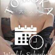 ヒメ日記 2026/01/14 12:04 投稿 ともか 大和人妻城