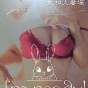 ヒメ日記 2026/02/16 11:51 投稿 ともか 大和人妻城